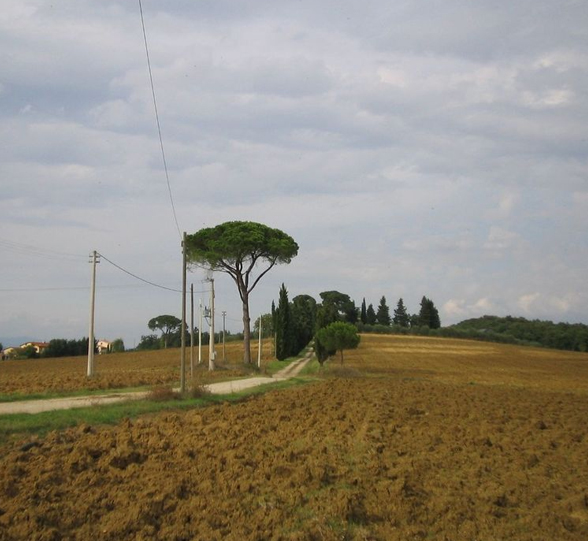 Terreno Edificabile